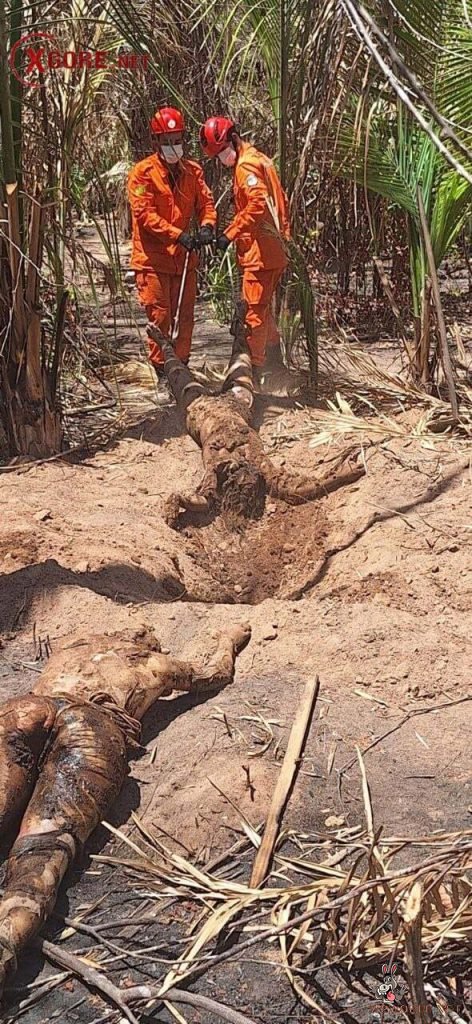Graphic Photos Show Recent Women's Deaths and Suicides