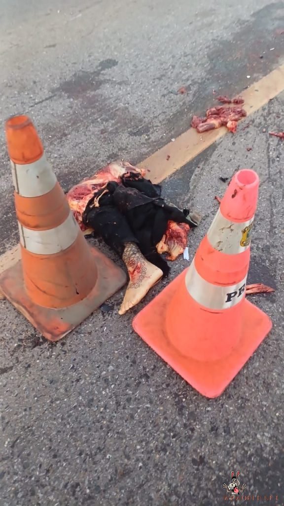 Motorcyclist torn apart in accident