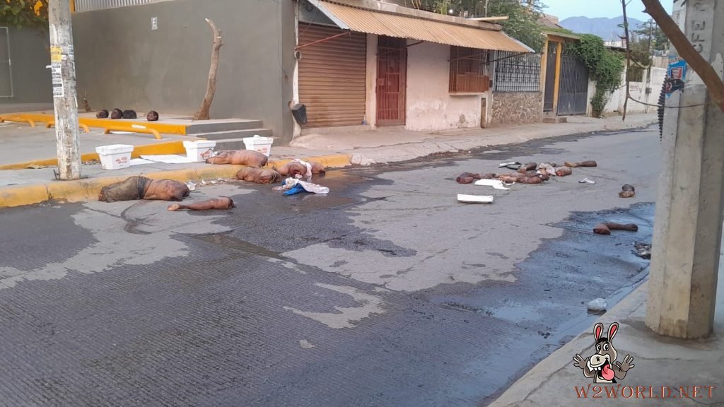 Four dismembered bodies found in Acapulco, Guerrero.