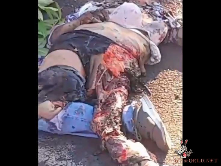 Her body was mangled