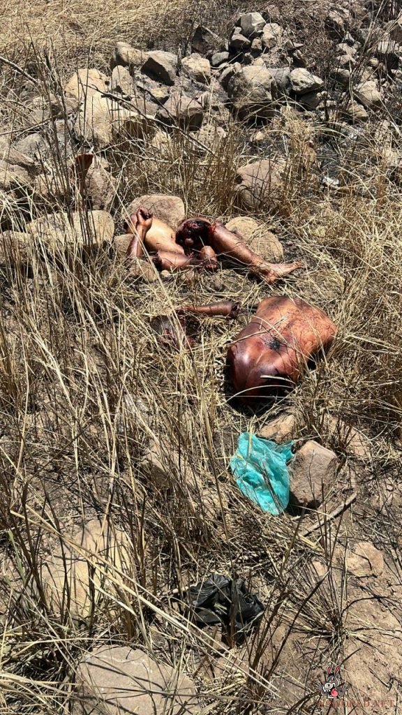 3 dismembered bodies found near Vista Volcanes garden