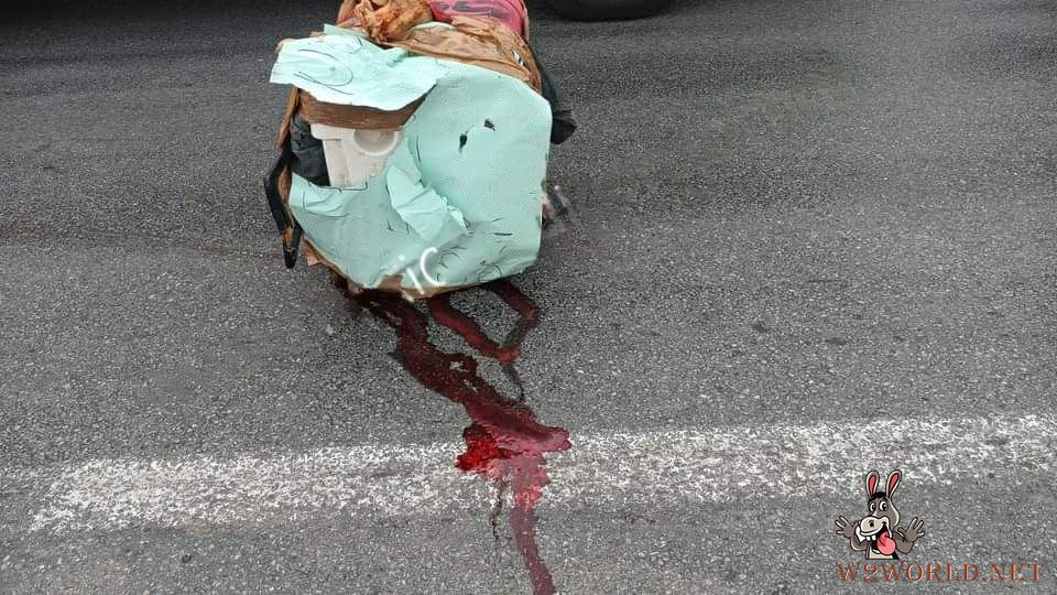 Man's body fragments found in Styrofoam box in Tamaulipas