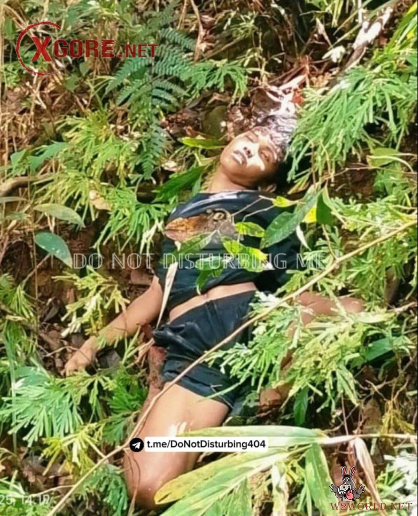 Indonesian Military Denies KKB Claim of Killing 11 Soldiers in Papua