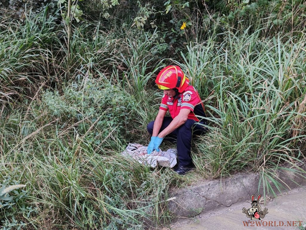 Man's Decapitated Body Found on Road in Guatemala