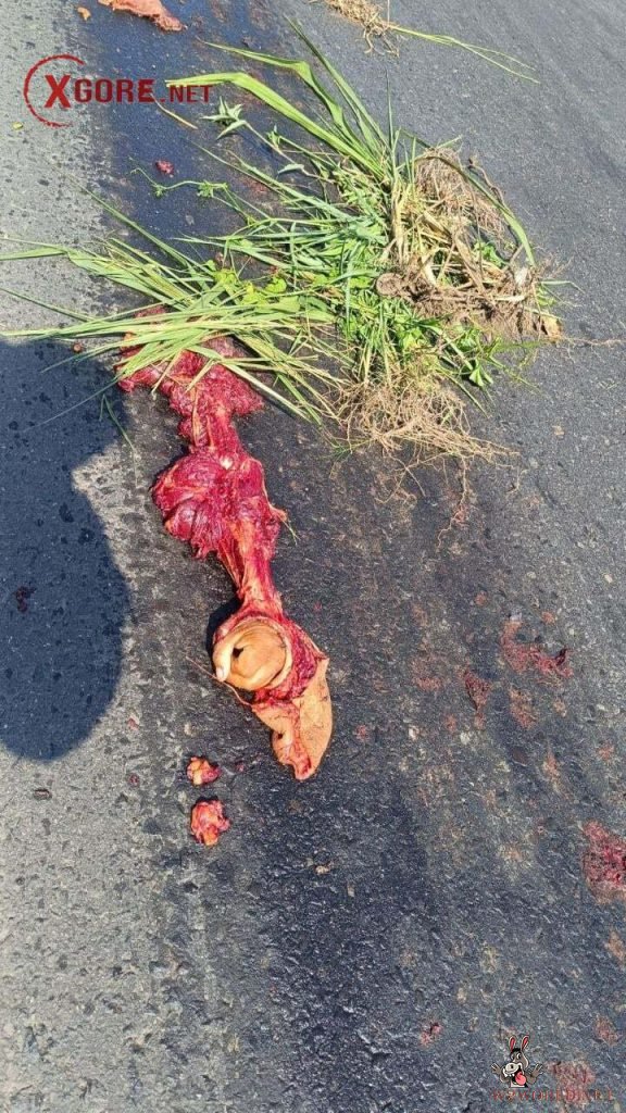 Fatal Motorcycle Accident in Cuyotenango, Suchitepéquez, Guatemala