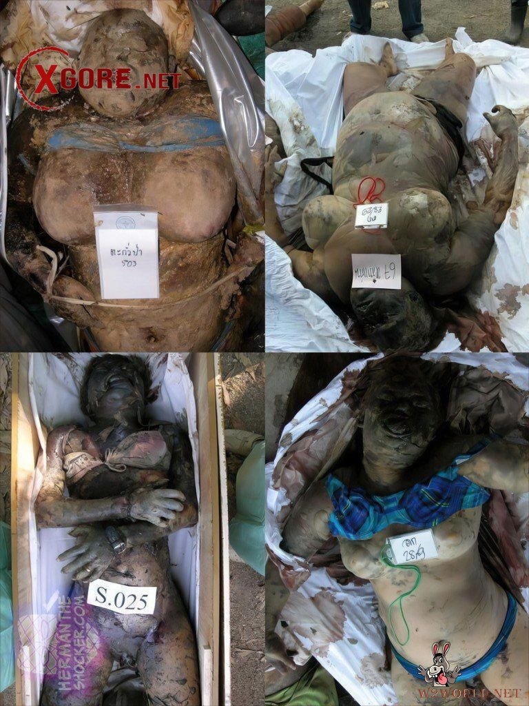Decomposed Bodies from 2004 Tsunami Resurface in Old Photos