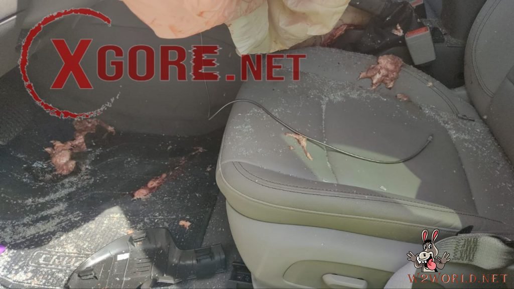 Man's Mangled Body Found on Windshield After Brazil Car Accident