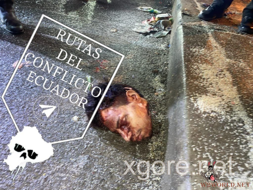 Severed head found in street