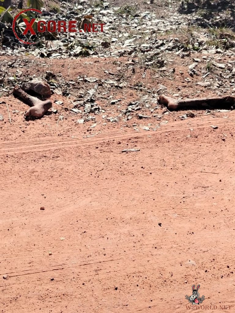 Dismembered body discovered in Caucaia, Ceará