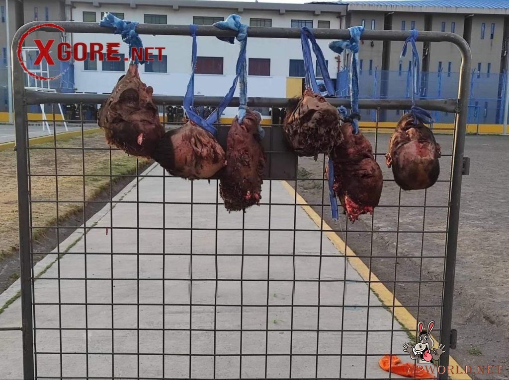 Ecuador Prison Riot Shows Brutal Violence