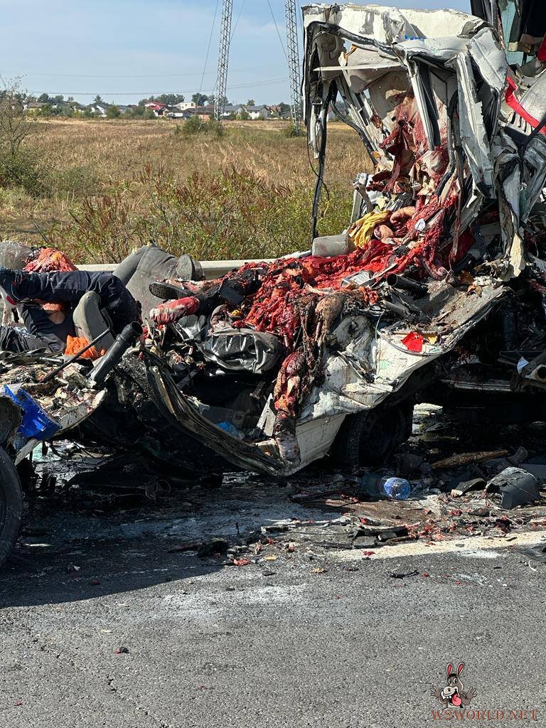 Truck collision kills five workers