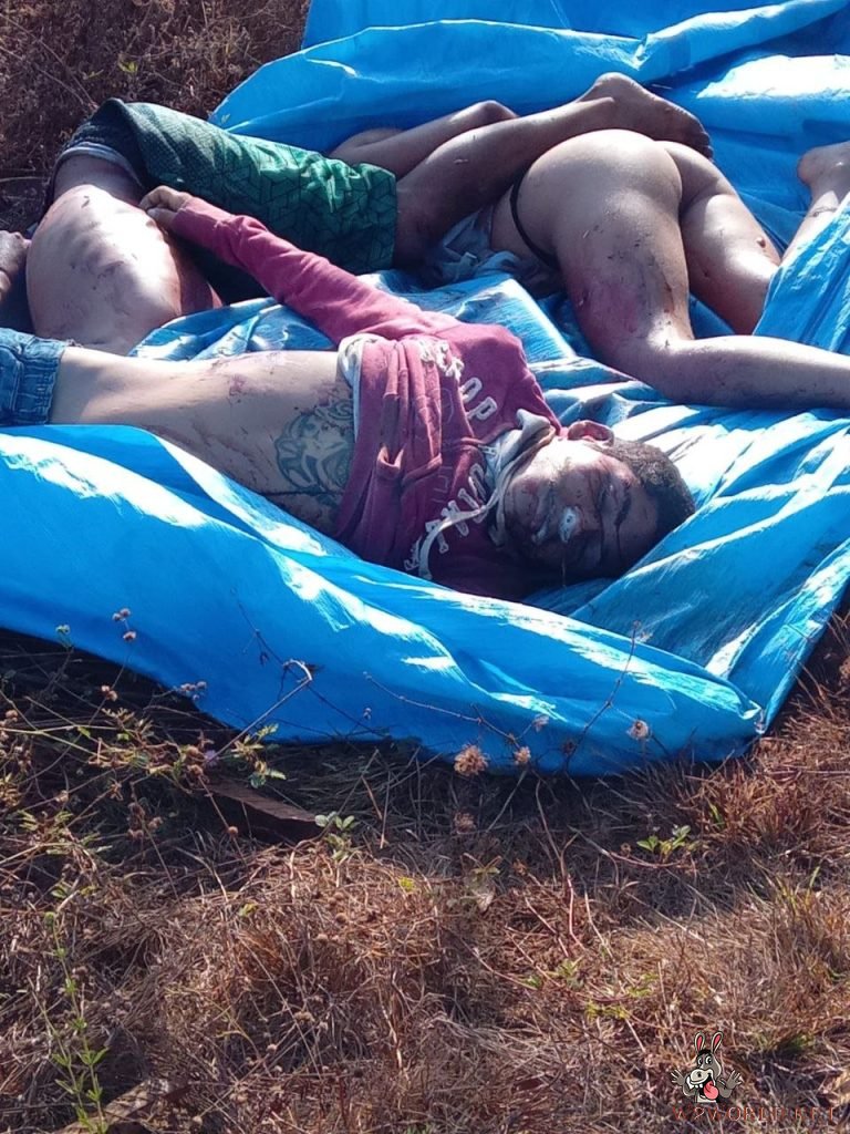 Possible gang retaliation suspected in discovery of four bodies in Maranhão forest