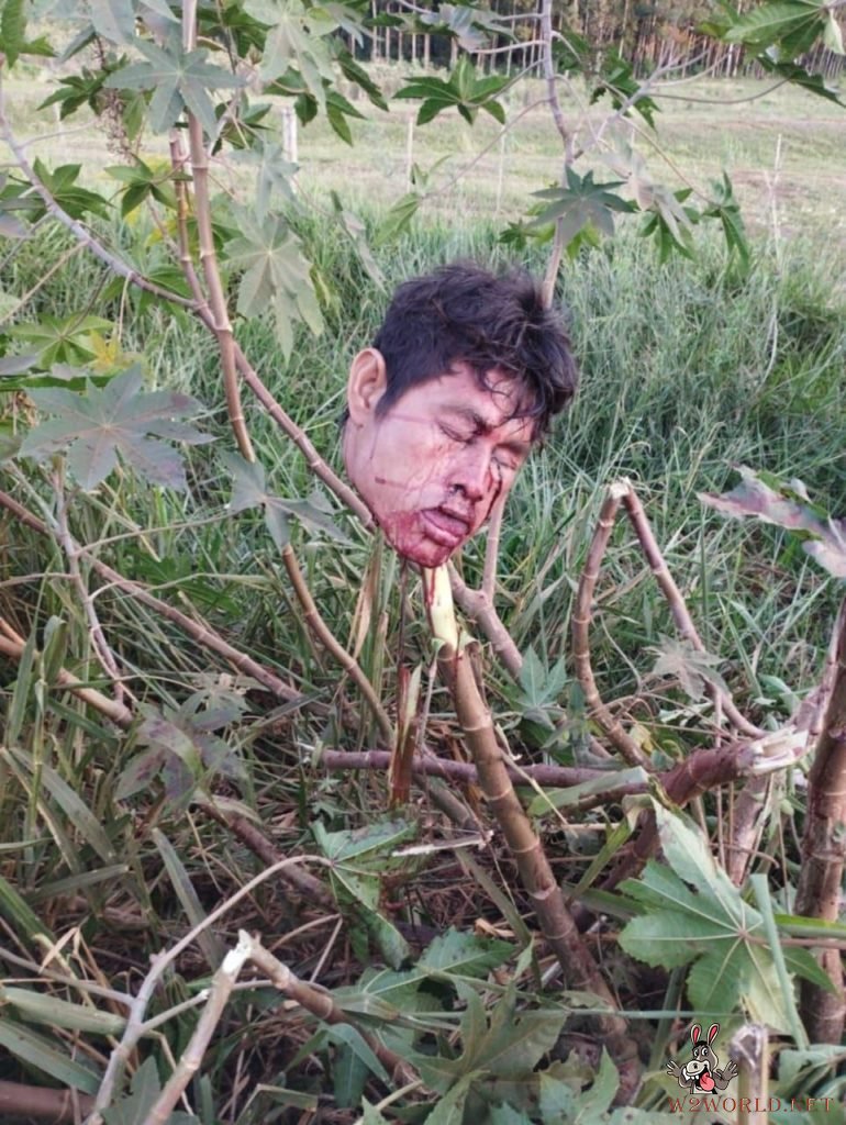 Avá Guarani Man Decapitated in Land Conflict in Western Paraná