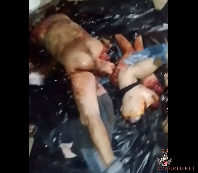 Video of dismembering rival spread from Zacatecas