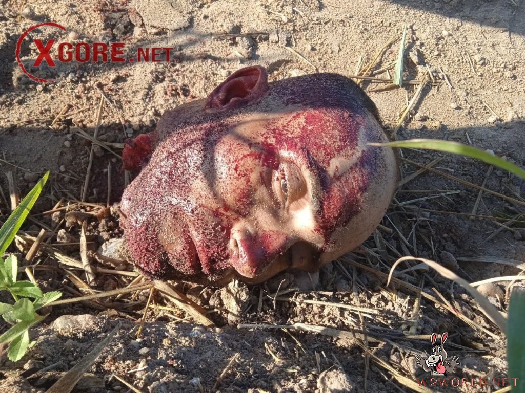 Decapitated Man Found in Santa Cruz Cabrália, Bahia, Brazil Amid Gang Conflict