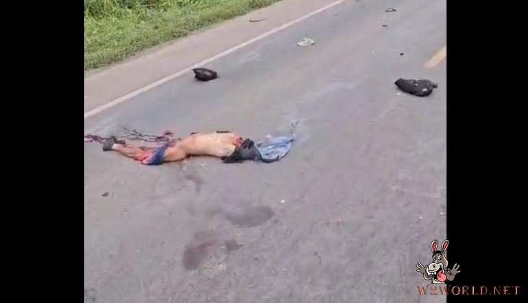 Motorcyclist Decapitated in BR-364 Crash