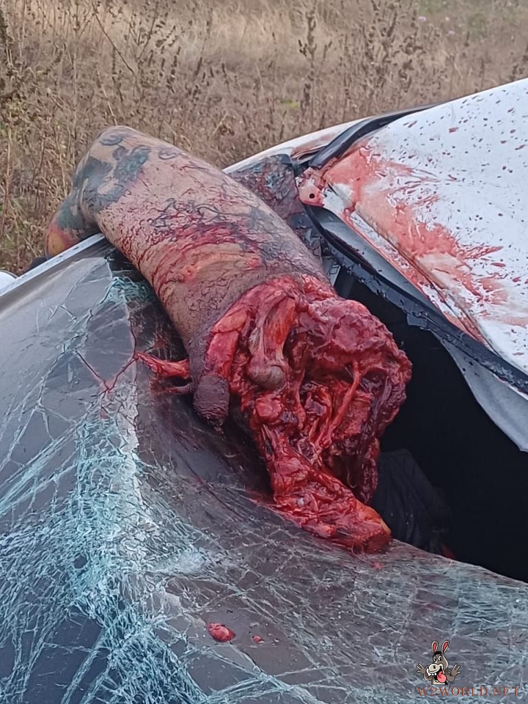 Motorcyclist torn apart in accident