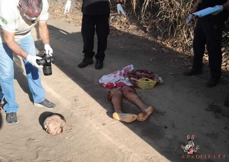 Discovered dismembered gang member