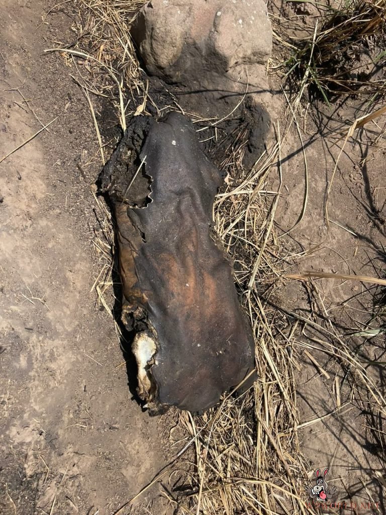 3 dismembered bodies found near Vista Volcanes garden
