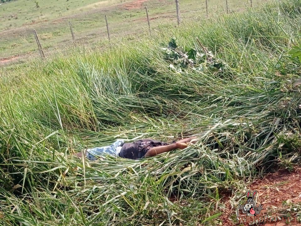 Avá Guarani Man Decapitated in Land Conflict in Western Paraná