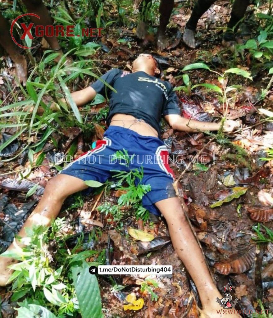 Indonesian Military Denies KKB Claim of Killing 11 Soldiers in Papua