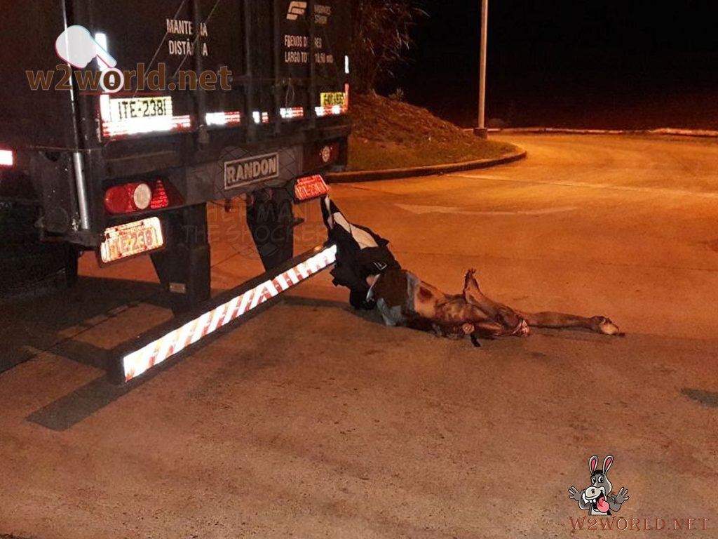 Motorcyclist Dragged 40km by Truck in Fatal Argentina Accident