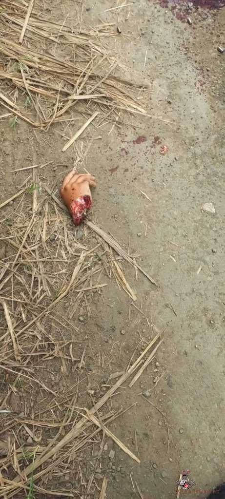 Two young men brutally murdered in Ecuador