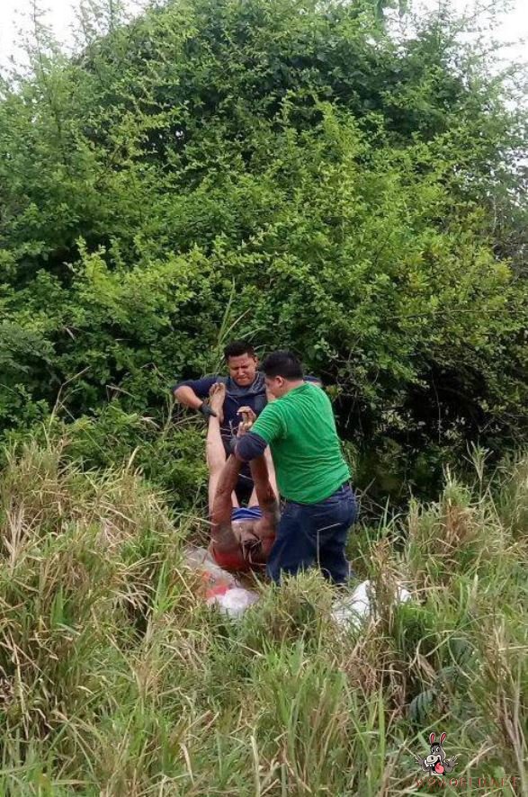 Two beheaded bodies found in Sayula