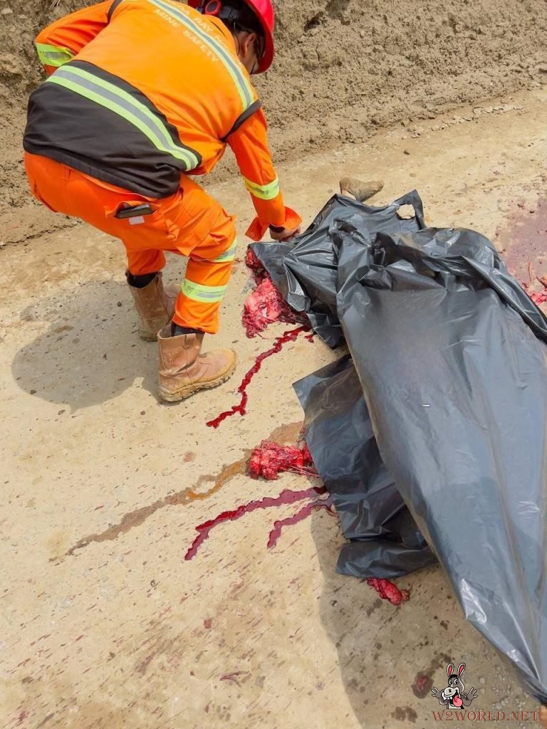 Truck crushes man's lower body