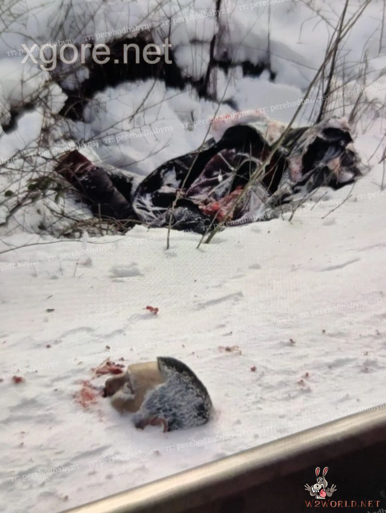 Romanian Man Commits Suicide by Decapitation on Train Tracks
