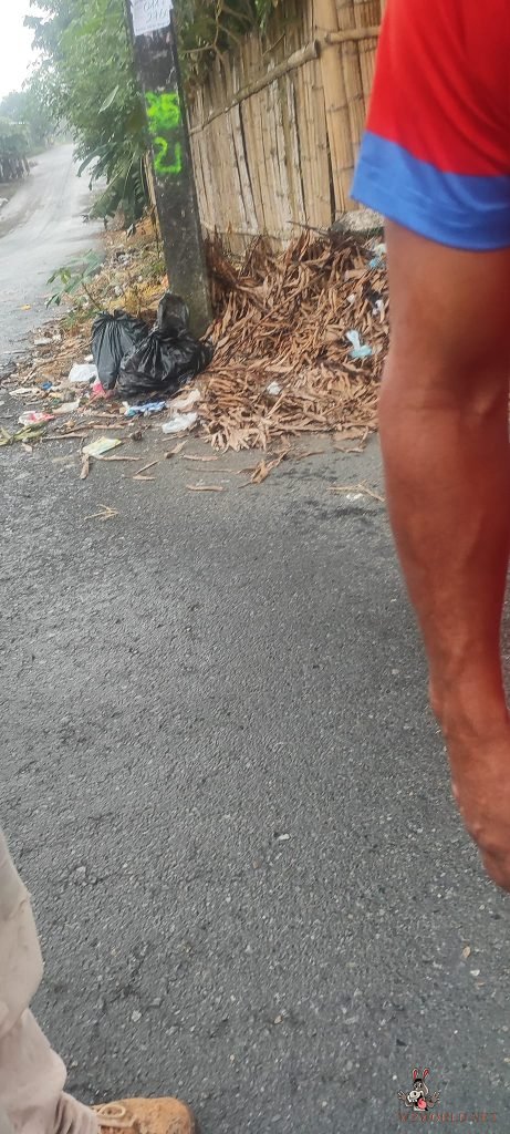 Discovery of severed head and body parts on road