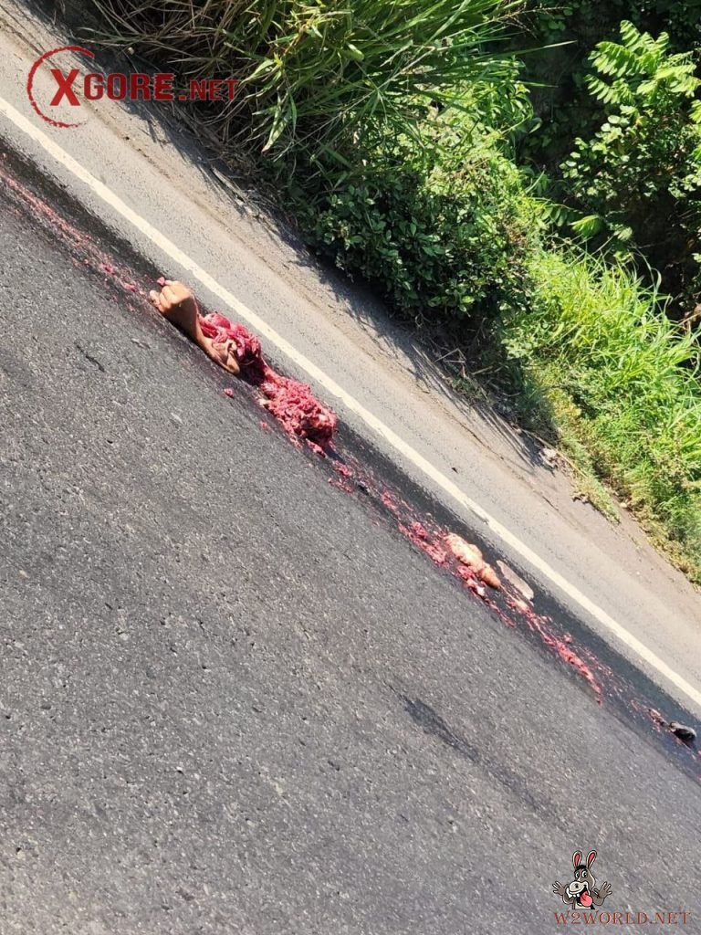 Fatal Motorcycle Accident in Cuyotenango, Suchitepéquez, Guatemala