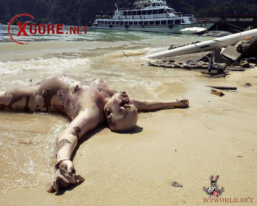 Decomposed Bodies from 2004 Tsunami Resurface in Old Photos