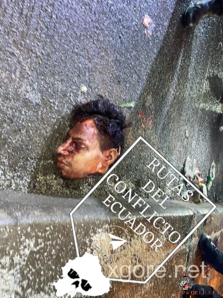 Severed head found in street