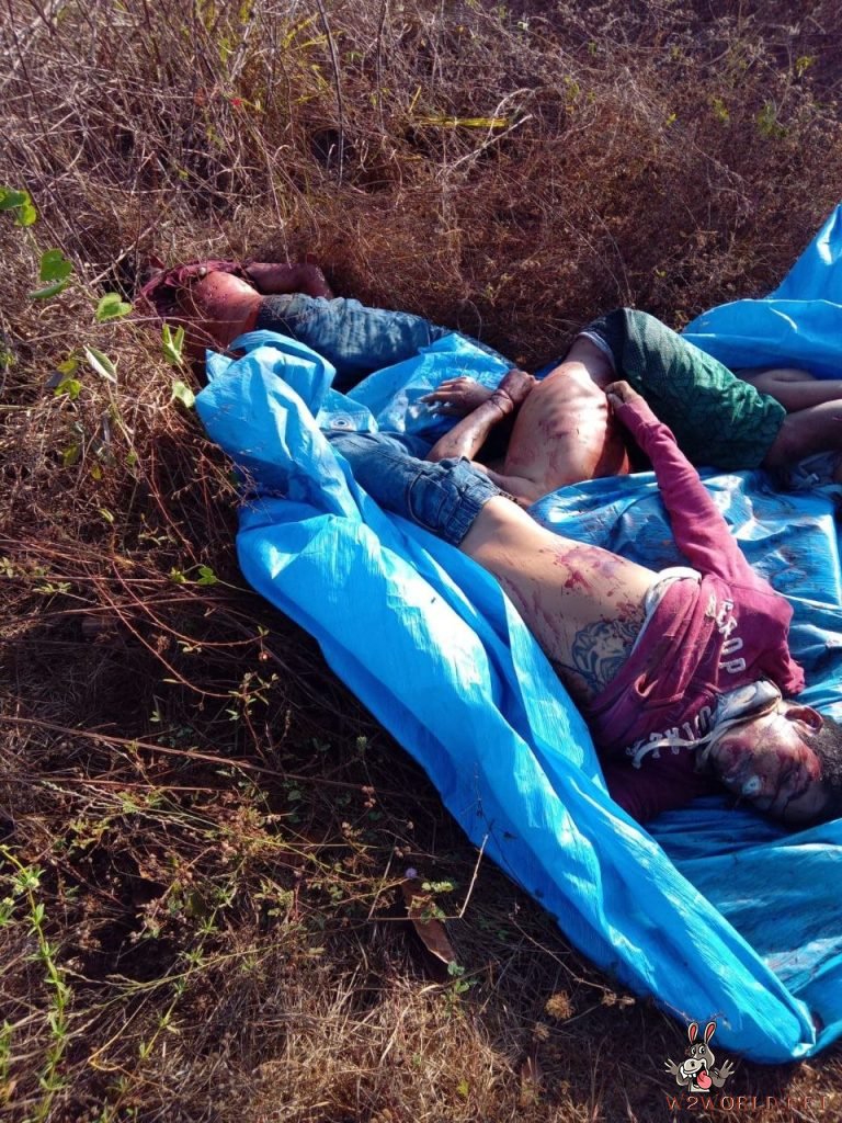 Possible gang retaliation suspected in discovery of four bodies in Maranhão forest
