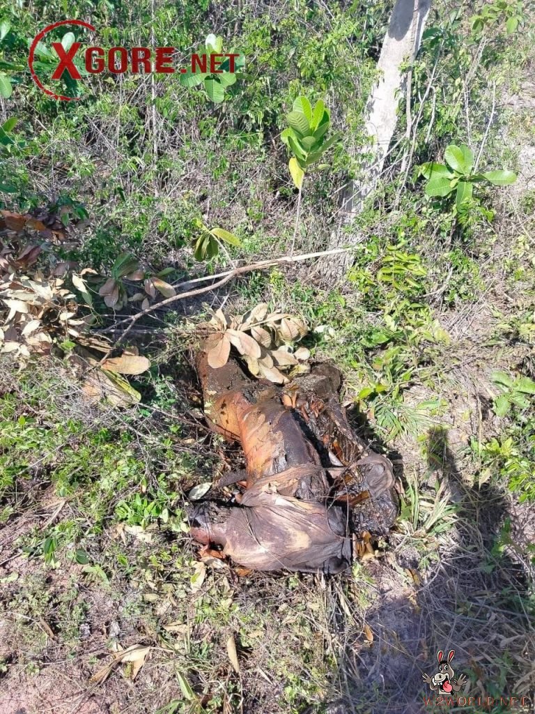 Dismembered body discovered in Caucaia, Ceará