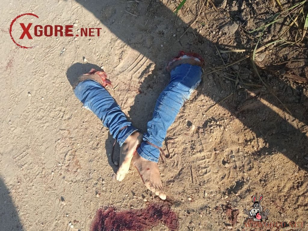 Decapitated Man Found in Santa Cruz Cabrália, Bahia, Brazil Amid Gang Conflict