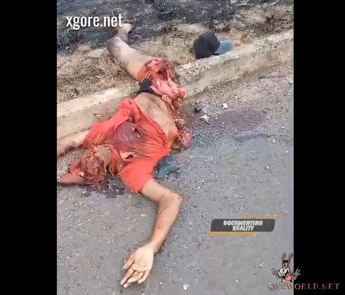 Man torn apart in traffic accident