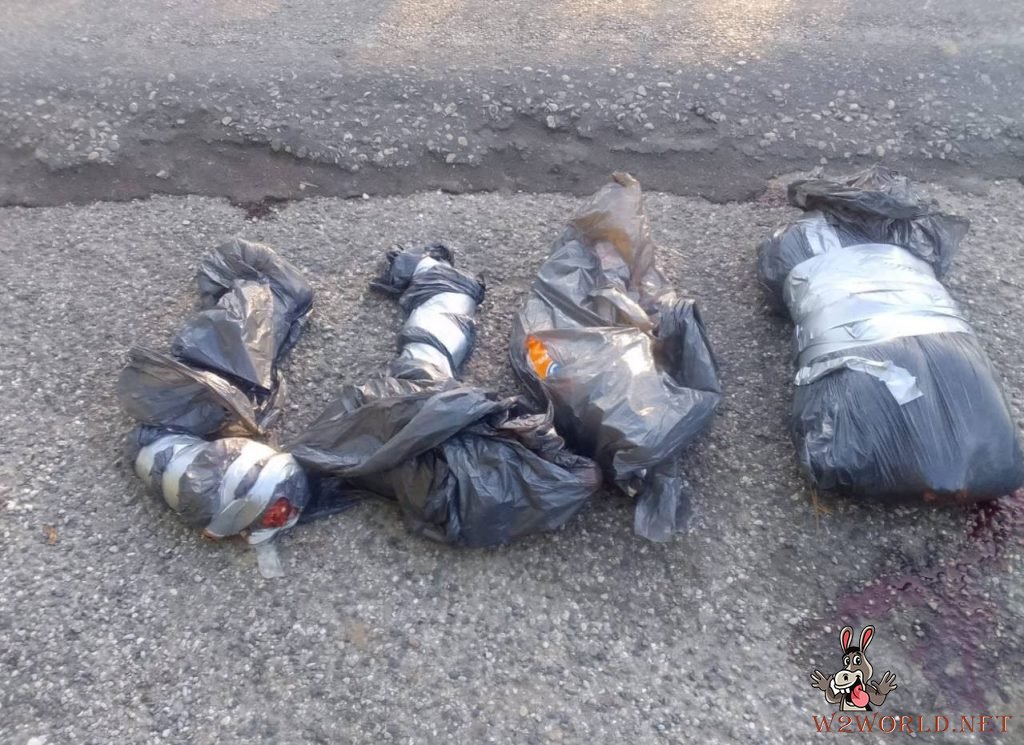 Man Kidnapped and Dismembered in Tabasco