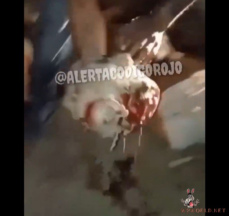 Severing the legs of two men before beheading them