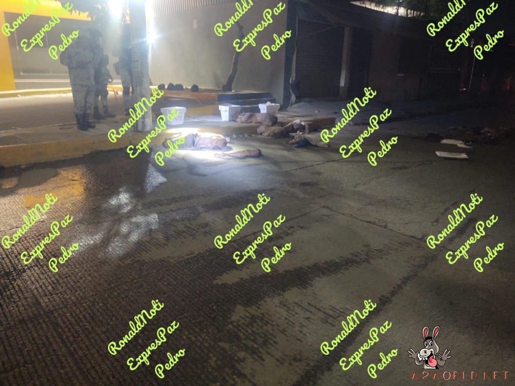 Four dismembered bodies found in Acapulco, Guerrero.