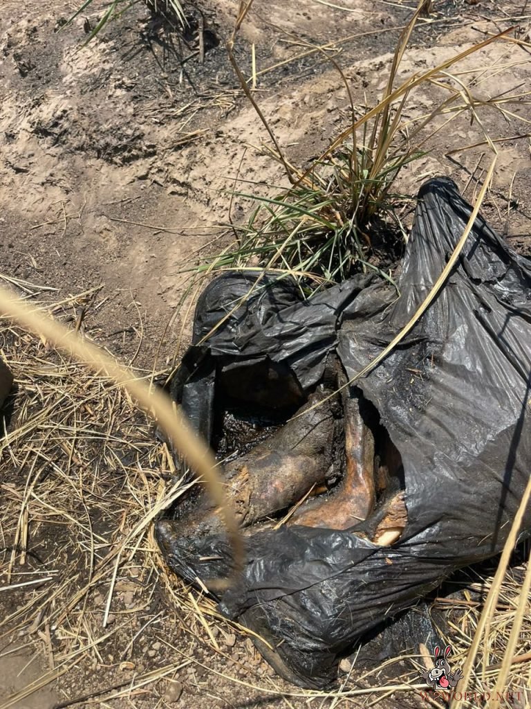 3 dismembered bodies found near Vista Volcanes garden