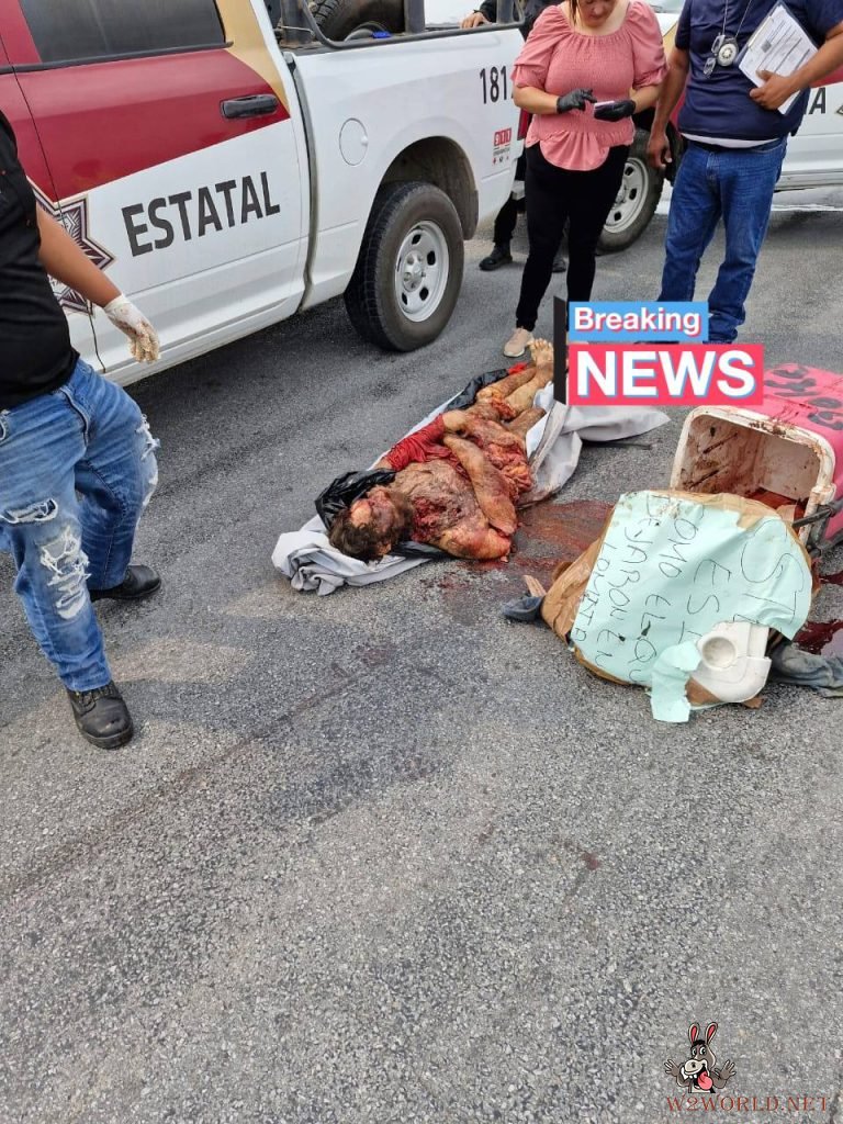 Man's body fragments found in Styrofoam box in Tamaulipas