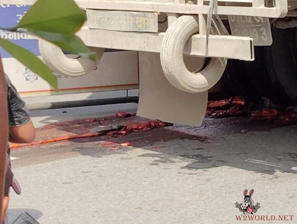 Two women's heads crushed in recent accidents