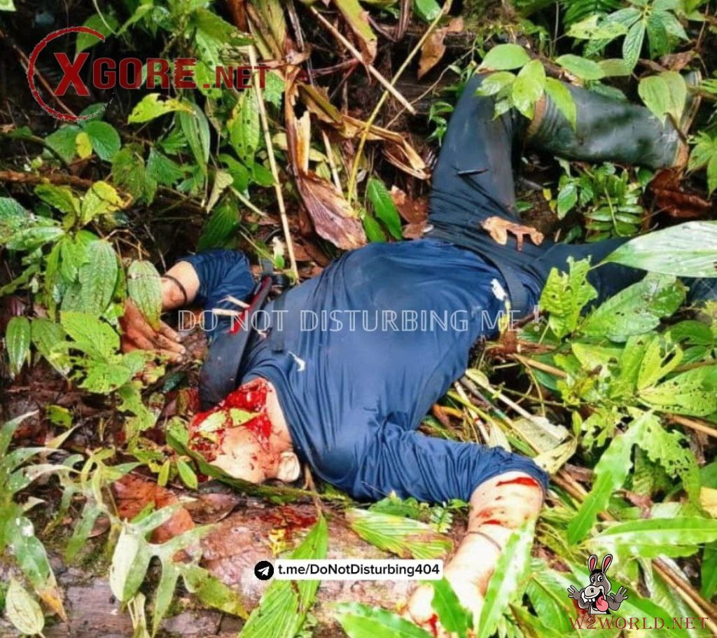 Indonesian Military Denies KKB Claim of Killing 11 Soldiers in Papua