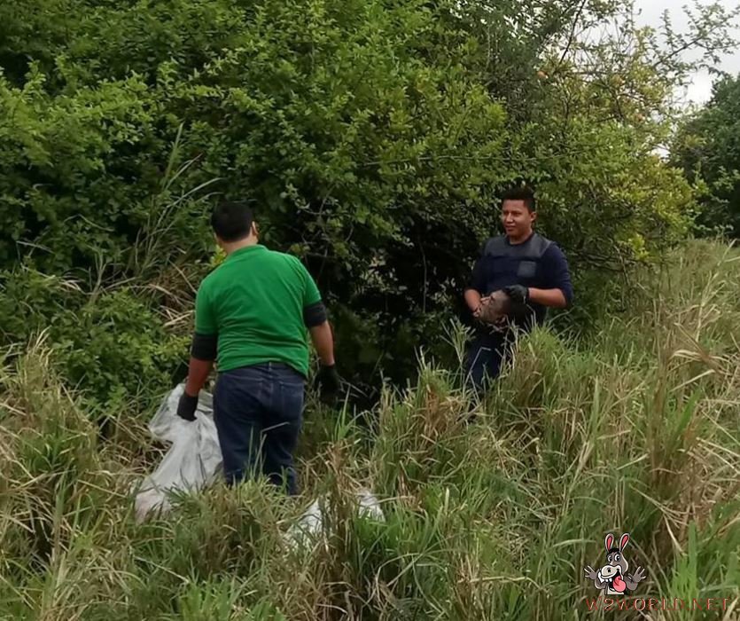Two beheaded bodies found in Sayula
