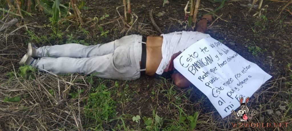 Recent Beheadings in Mexico's Cartel War