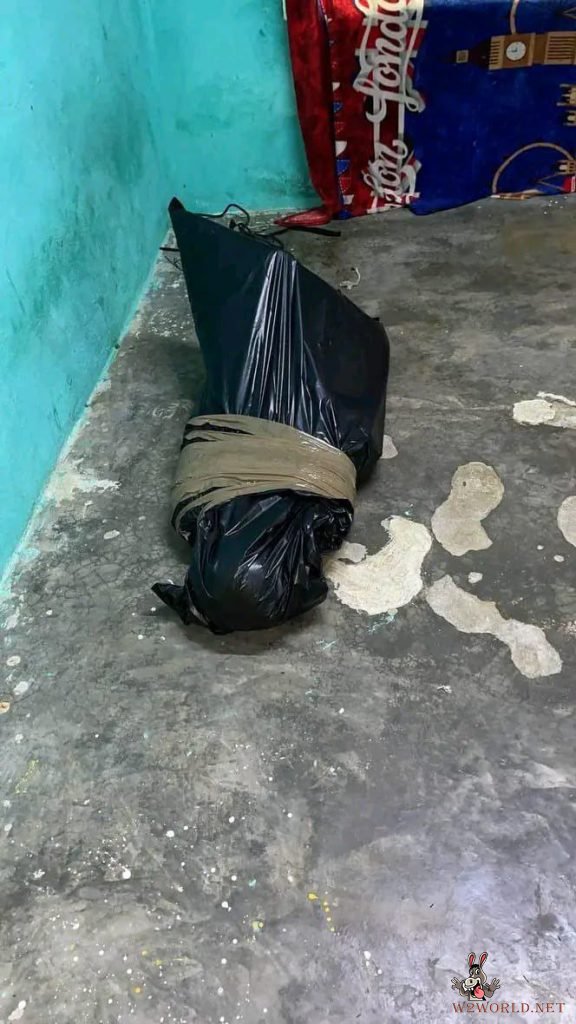 Discovery of Brutally Executed Men and Women in House