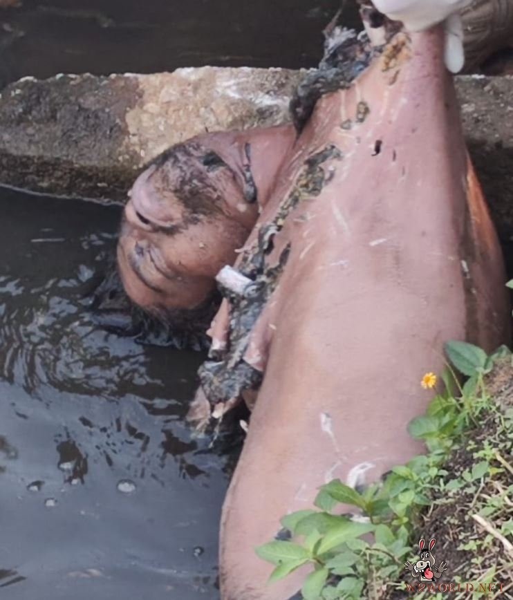 Body Recovered from Las Ilusiones Lagoon After Crocodile Attack