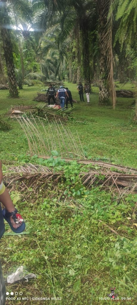 Discovery of severed head and body parts on road